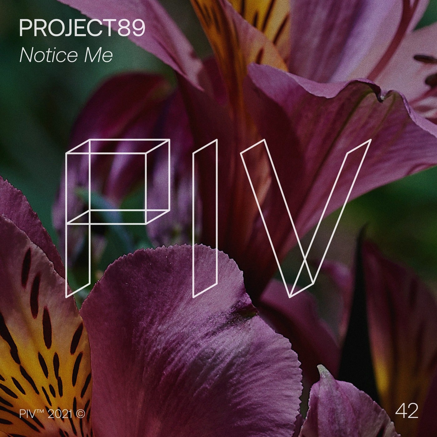 Project89 - Notice Me [PIV042]